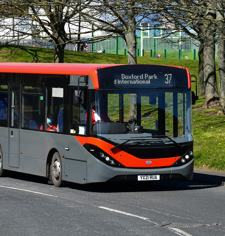 bus